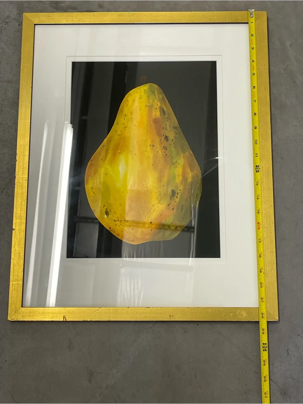 Bill Baily Framed Papaya Fruit Still Life Signed Art Print 18x22.5